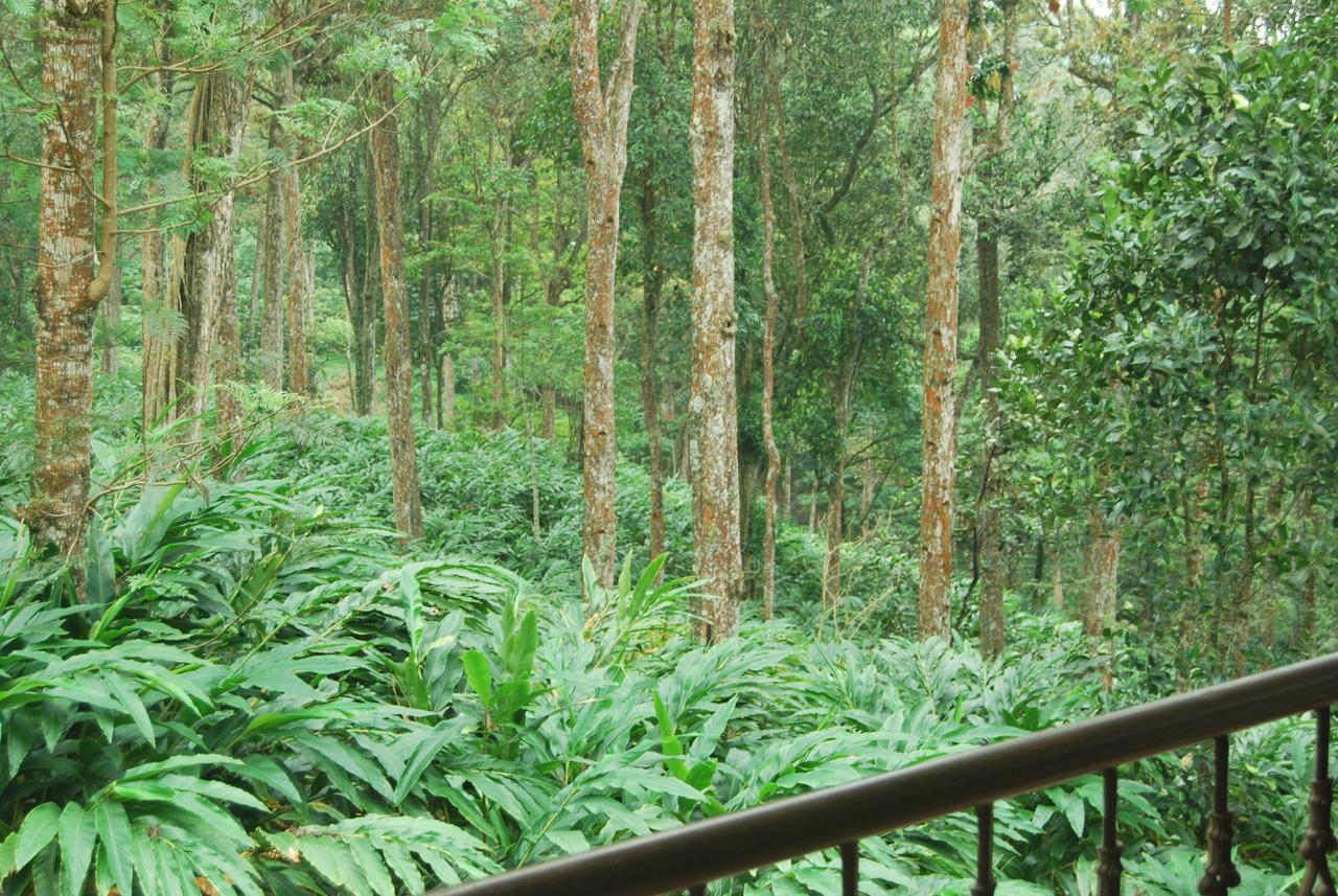 T Cherry Villa Munnar Exteriör bild