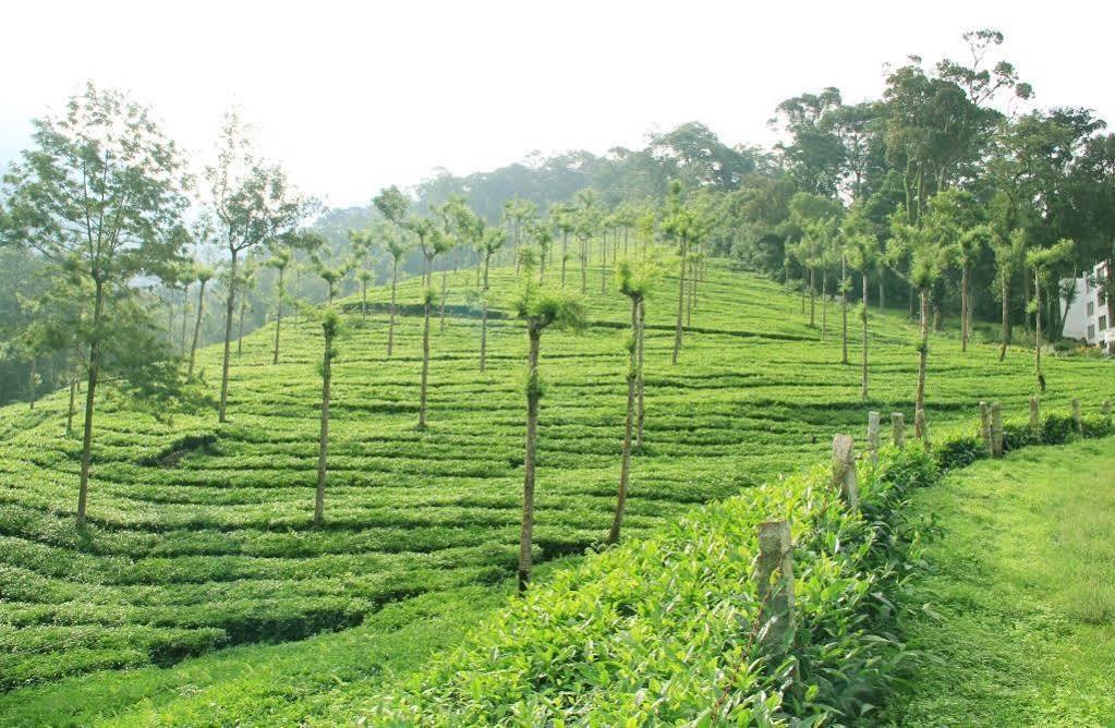 T Cherry Villa Munnar Exteriör bild