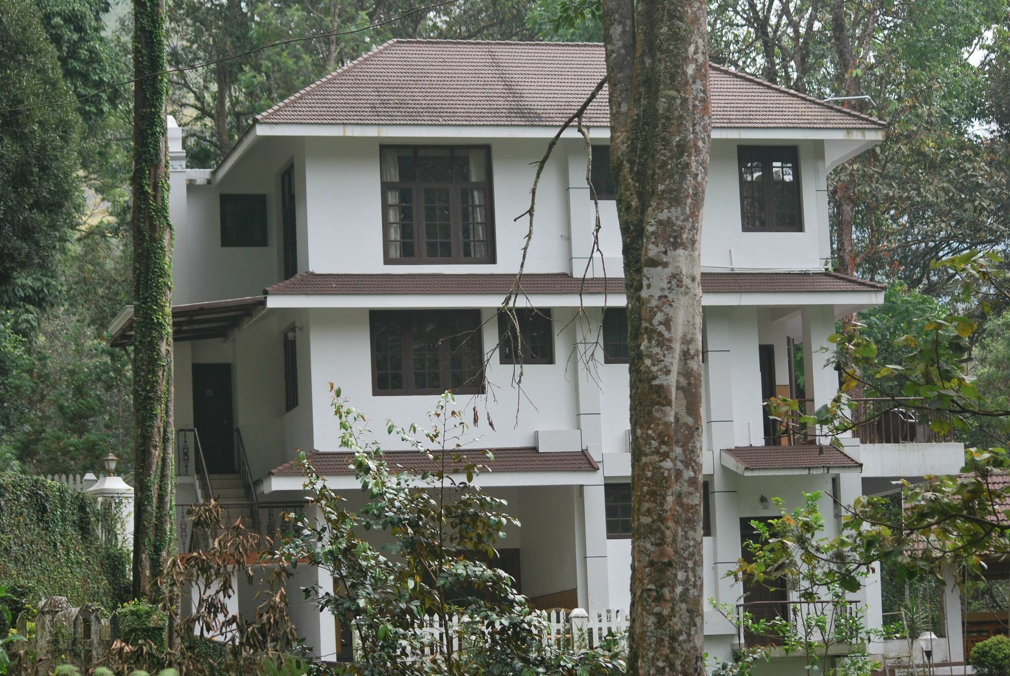 T Cherry Villa Munnar Exteriör bild